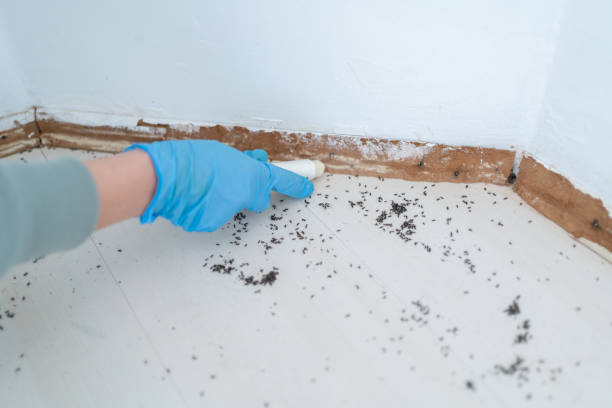 Pest Prevention Services in Westwood Lakes, FL